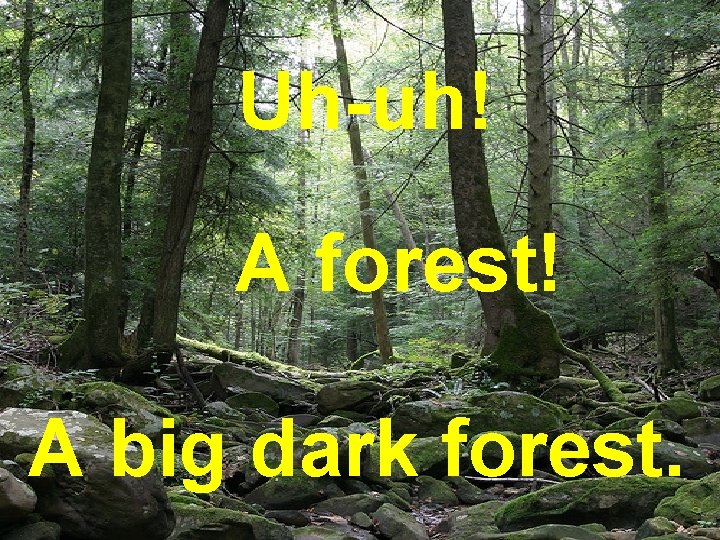 Uh-uh! A forest! A big dark forest. 