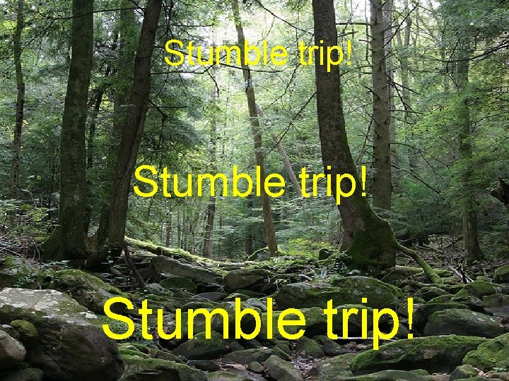 Stumble trip! 