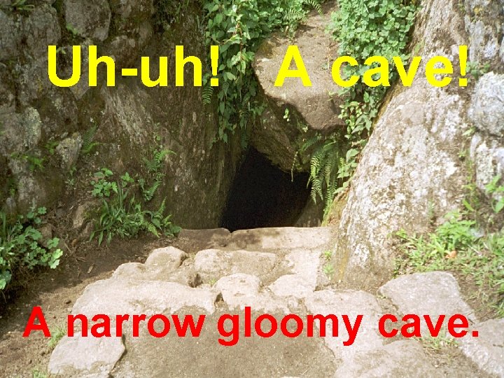 Uh-uh! A cave! A narrow gloomy cave. 