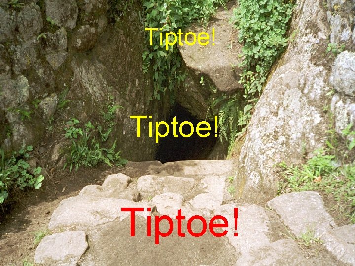 Tiptoe! 