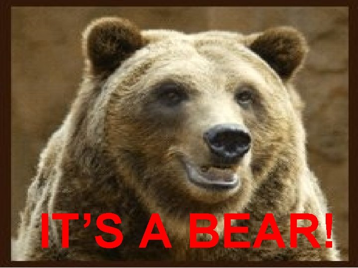 Bear Hunt Dr Jean at Gregory Burgos blog