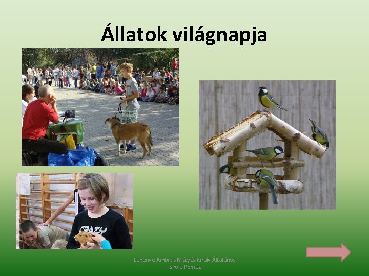 Állatok világnapja Lepenye Ambrus Mátyás Király Általános Iskola Pomáz 