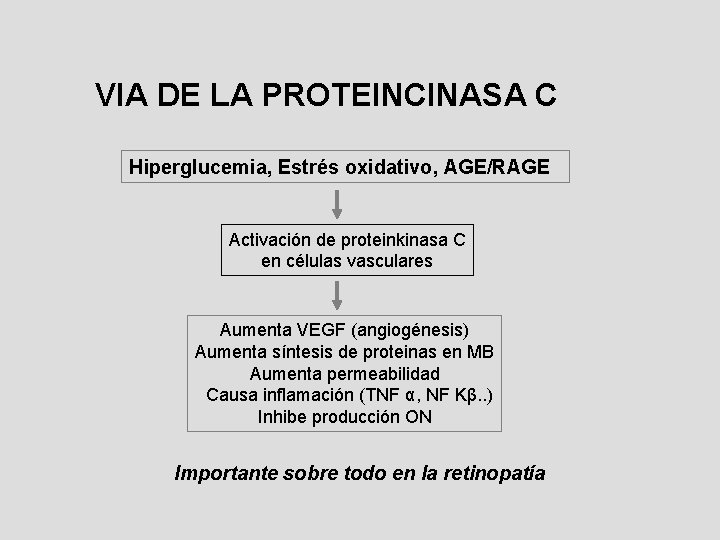 VIA DE LA PROTEINCINASA C Hiperglucemia, Estrés oxidativo, AGE/RAGE Activación de proteinkinasa C en