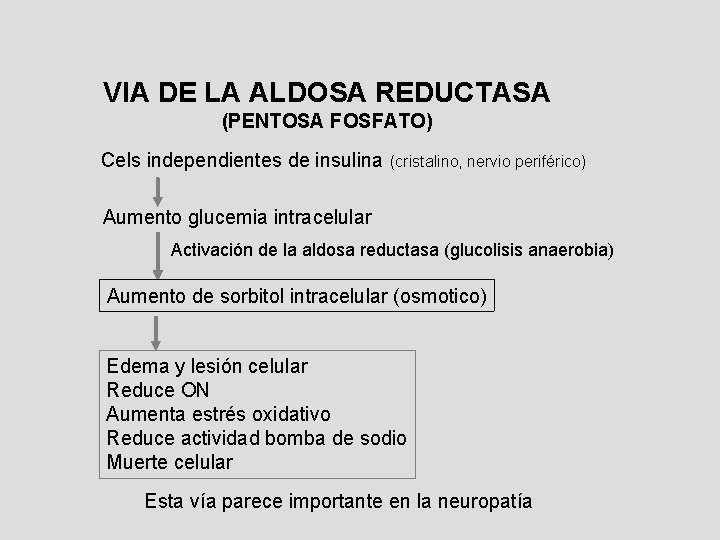 VIA DE LA ALDOSA REDUCTASA (PENTOSA FOSFATO) Cels independientes de insulina (cristalino, nervio periférico) VIA DE LA ALDOSA REDUCTASA (PENTOSA FOSFATO) Cels independientes de insulina (cristalino, nervio periférico)