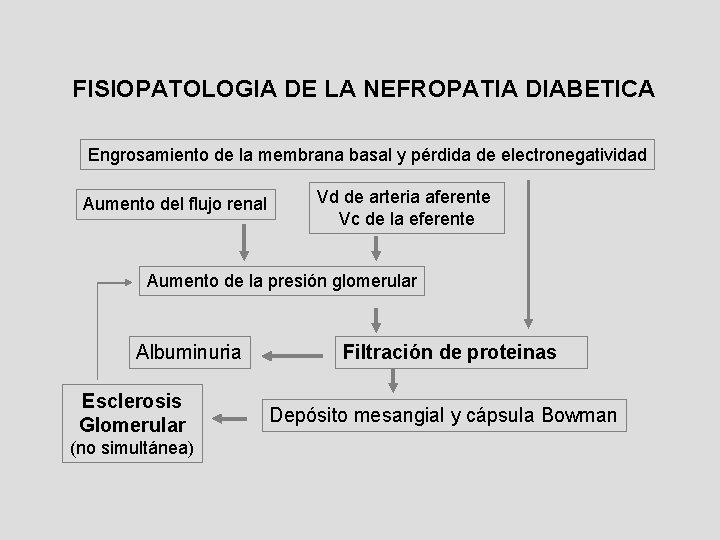 FISIOPATOLOGIA DE LA NEFROPATIA DIABETICA Engrosamiento de la membrana basal y pérdida de electronegatividad