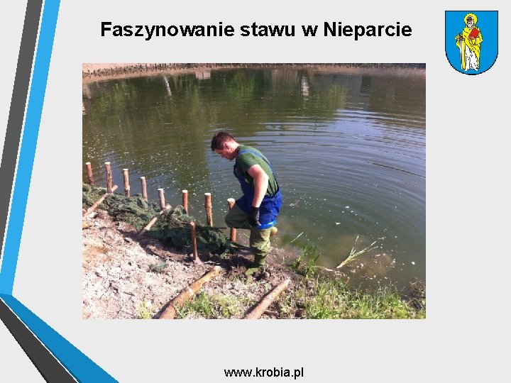 Faszynowanie stawu w Nieparcie www. krobia. pl 