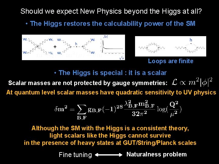 Should we expect New Physics beyond the Higgs at all? • The Higgs restores