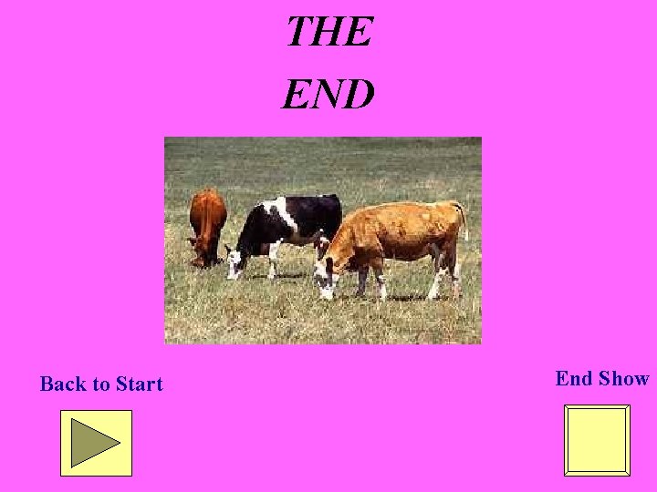 THE END Back to Start End Show 