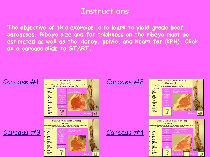 Instructions The objective of this exercise is to learn to yield grade beef carcasses.