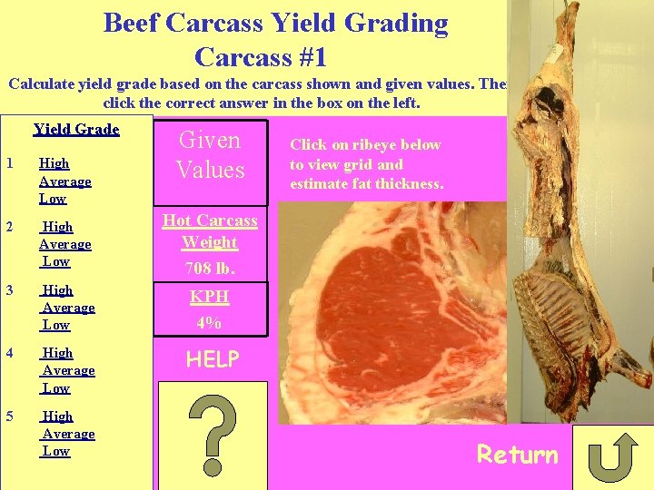 Beef Carcass Yield Grading CDE Practice Based on