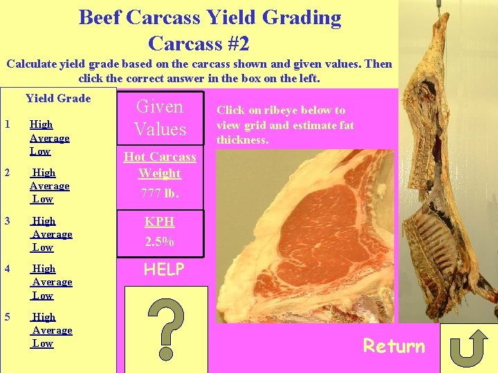 Beef Carcass Yield Grading CDE Practice Based on