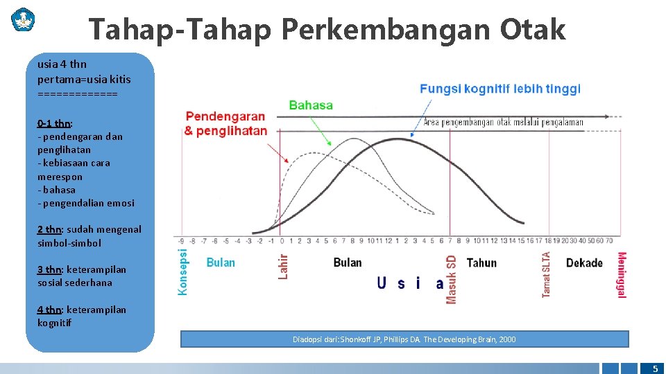 Tahap-Tahap Perkembangan Otak usia 4 thn pertama=usia kitis ======= 0 -1 thn: - pendengaran