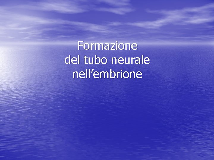 Formazione del tubo neurale nell’embrione 