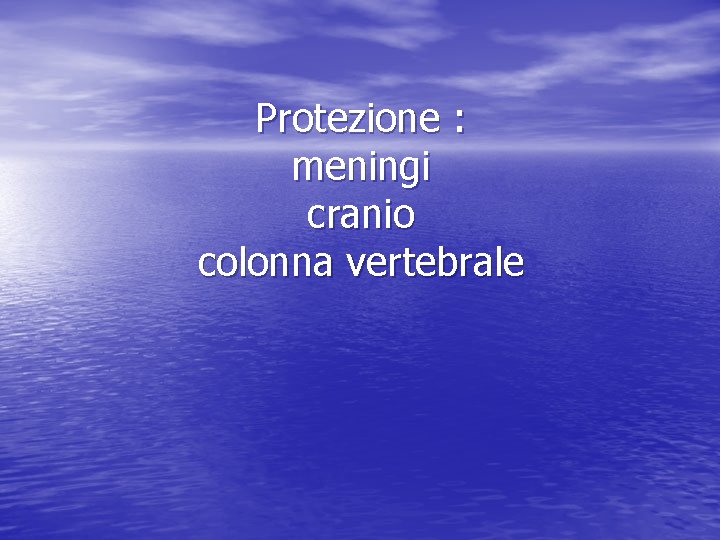 Protezione : meningi cranio colonna vertebrale 