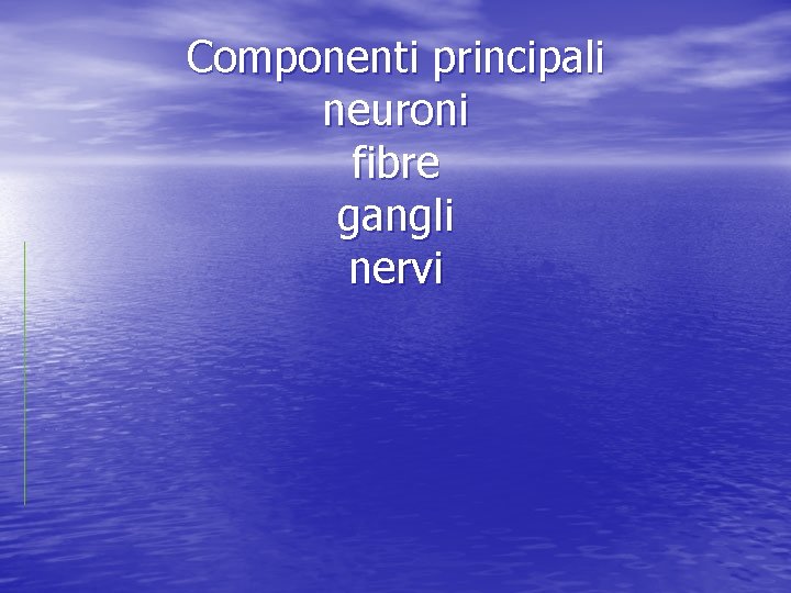 Componenti principali neuroni fibre gangli nervi 