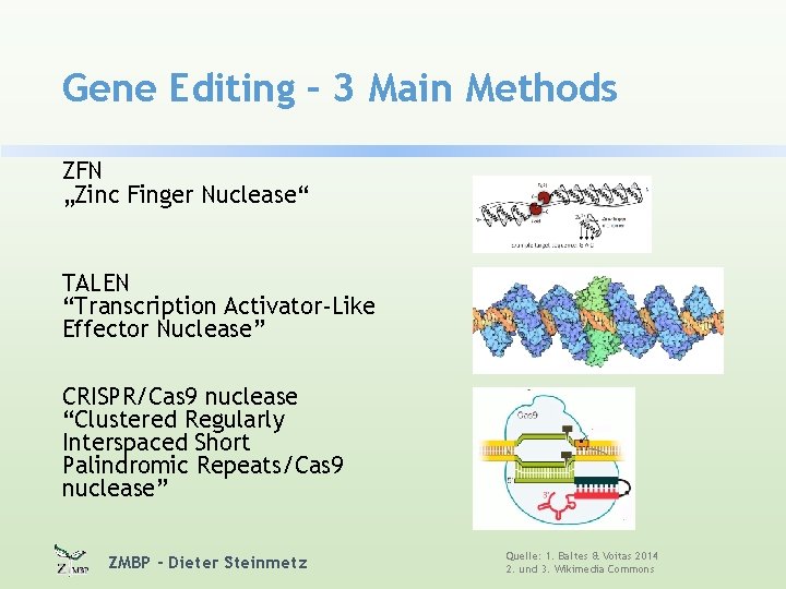 Gene Editing – 3 Main Methods ZFN „Zinc Finger Nuclease“ TALEN “Transcription Activator-Like Effector