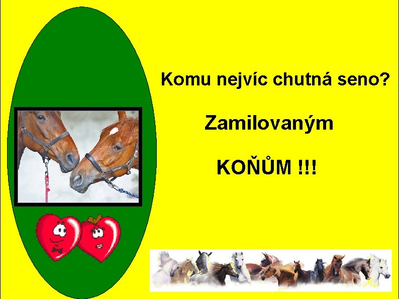 Komu nejvíc chutná seno? Zamilovaným KOŇŮM !!! Komu nejvíc chutná seno? Zamilovaným KOŇŮM !!!