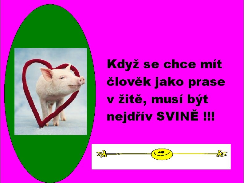 Když se chce mít člověk jako prase v žitě, musí být nejdřív SVINĚ !!!