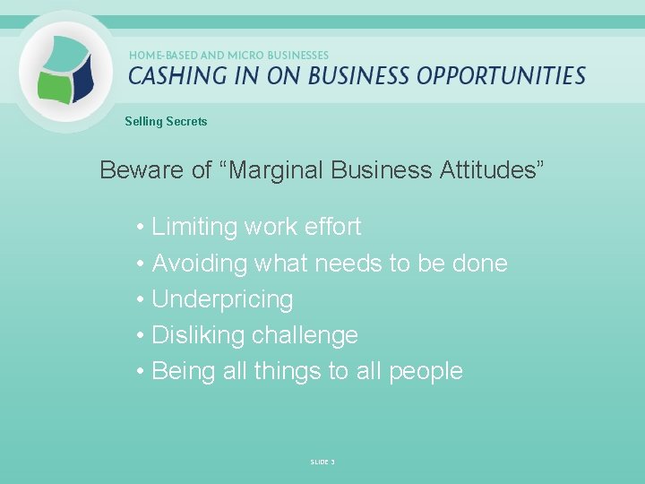 Selling Secrets Beware of “Marginal Business Attitudes” • Limiting work effort • Avoiding what