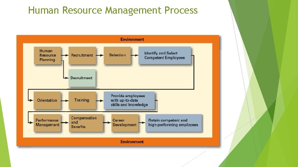 Human Resource Management Process 