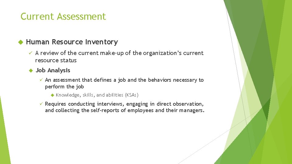 Current Assessment Human Resource Inventory ü A review of the current make-up of the