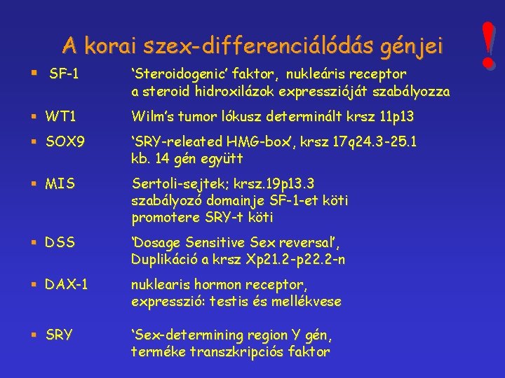 A korai szex-differenciálódás génjei § SF-1 ‘Steroidogenic’ faktor, nukleáris receptor a steroid hidroxilázok expresszióját