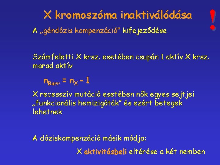 X kromoszóma inaktiválódása A „géndózis kompenzáció” kifejeződése ! Számfeletti X krsz. esetében csupán 1