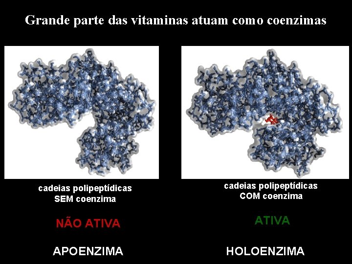 Grande parte das vitaminas atuam como coenzimas cadeias polipeptídicas SEM coenzima NÃO ATIVA APOENZIMA