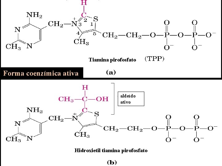 Tiamina pirofosfato Forma coenzímica ativa aldeído ativo Hidroxietil tiamina pirofosfato 