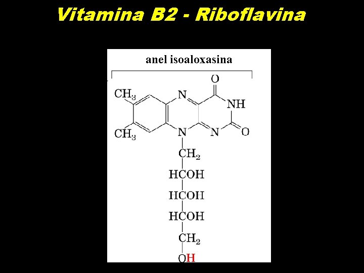Vitamina B 2 - Riboflavina anel isoaloxasina H 
