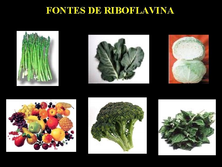 FONTES DE RIBOFLAVINA 