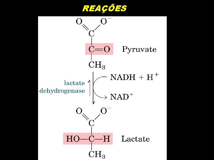 REAÇÕES 