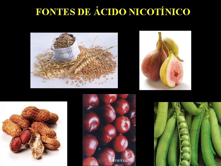 FONTES DE ÁCIDO NICOTÍNICO 