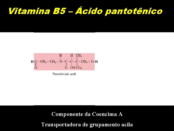 Vitamina B 5 – Ácido pantotênico H H Componente da Coenzima A Transportadora de
