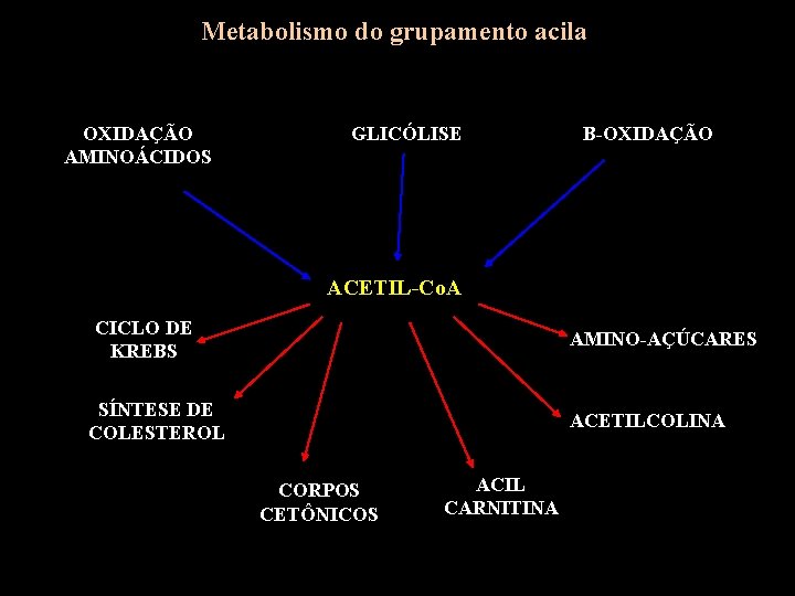 Metabolismo do grupamento acila OXIDAÇÃO AMINOÁCIDOS GLICÓLISE B-OXIDAÇÃO ACETIL-Co. A CICLO DE KREBS AMINO-AÇÚCARES