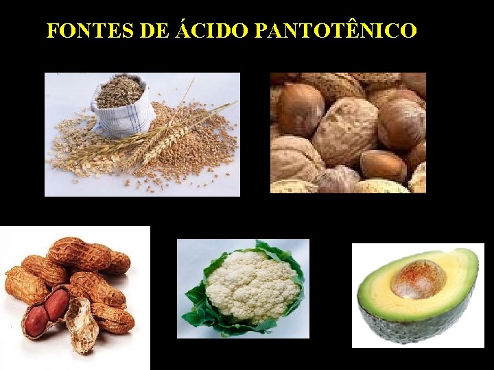 FONTES DE ÁCIDO PANTOTÊNICO 