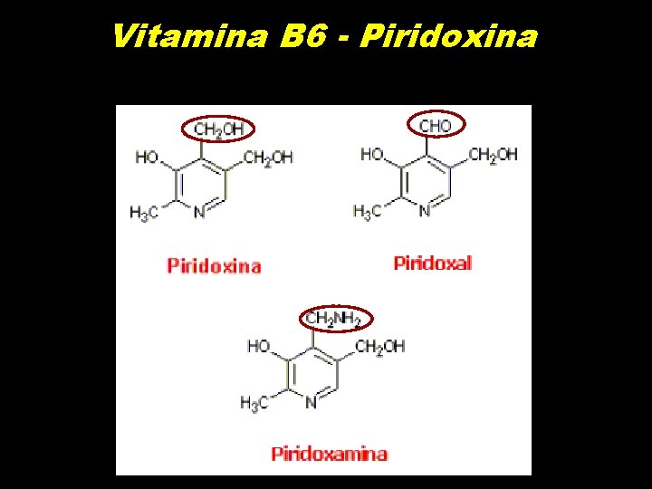 Vitamina B 6 - Piridoxina 