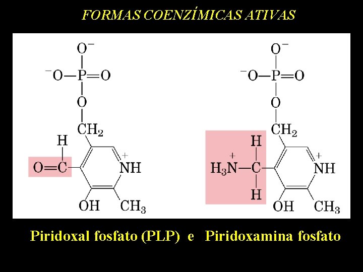FORMAS COENZÍMICAS ATIVAS Piridoxal fosfato (PLP) e Piridoxamina fosfato 
