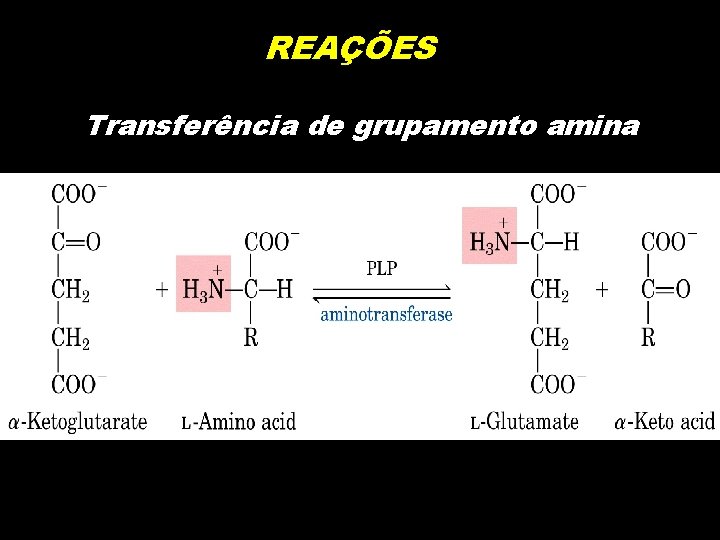 REAÇÕES Transferência de grupamento amina 
