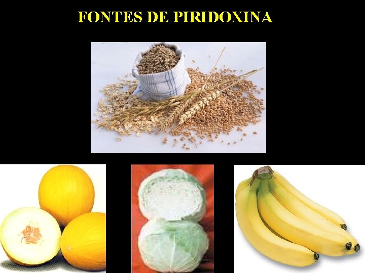 FONTES DE PIRIDOXINA 