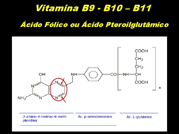 Vitamina B 9 - B 10 – B 11 Ácido Fólico ou Ácido Pteroilglutâmico