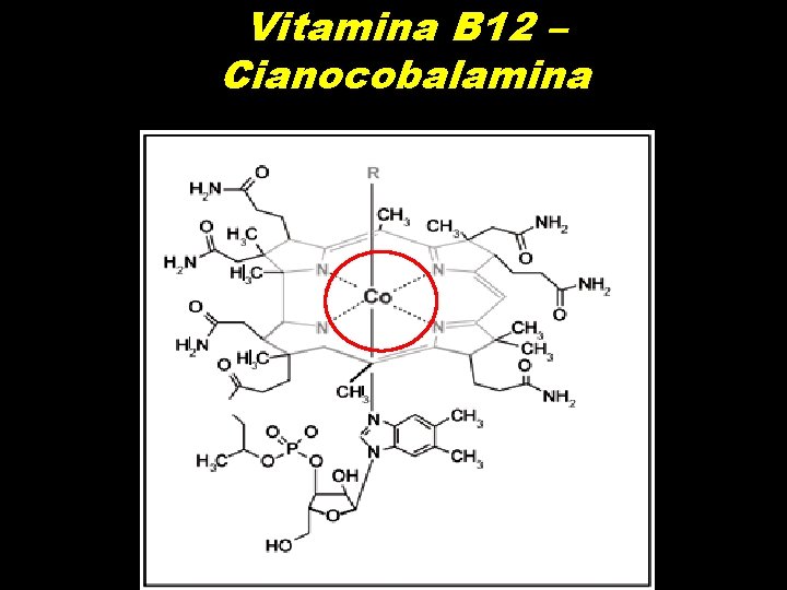 Vitamina B 12 – Cianocobalamina 