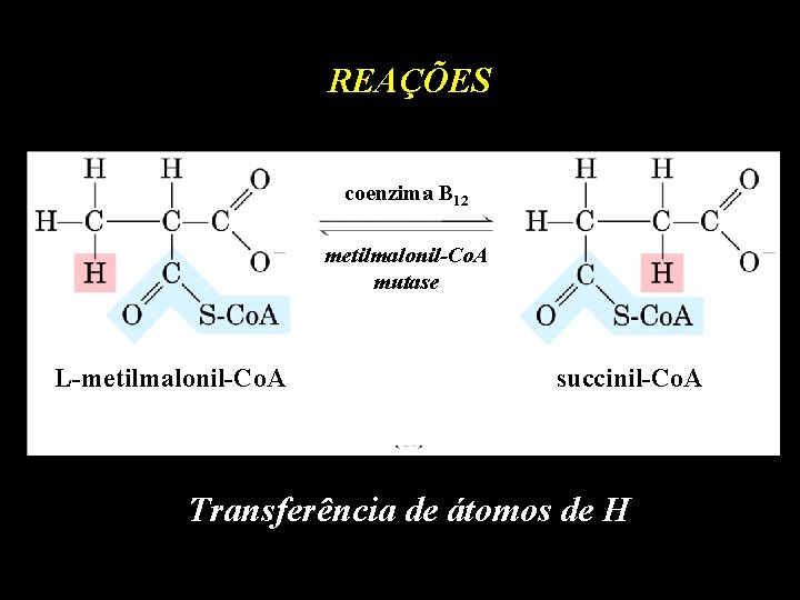 REAÇÕES coenzima B 12 metilmalonil-Co. A mutase L-metilmalonil-Co. A succinil-Co. A Transferência de átomos