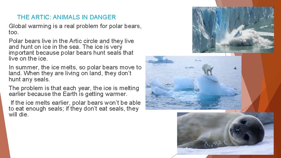  THE ARTIC: ANIMALS IN DANGER Global warming is a real problem for polar