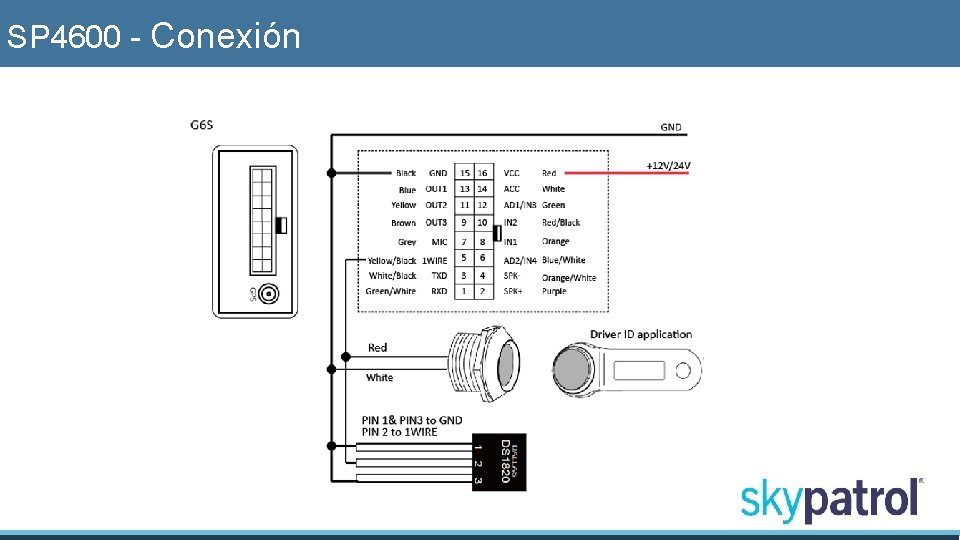 SP 4600 - Conexión 