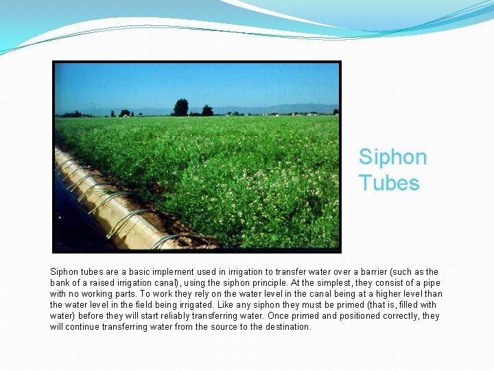 Siphon Tubes Siphon tubes are a basic implement used in irrigation to transfer water
