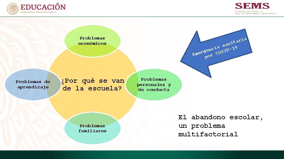 Problemas económicos Problemas de aprendizaje ¿Por qué se van de la escuela? Problemas familiares