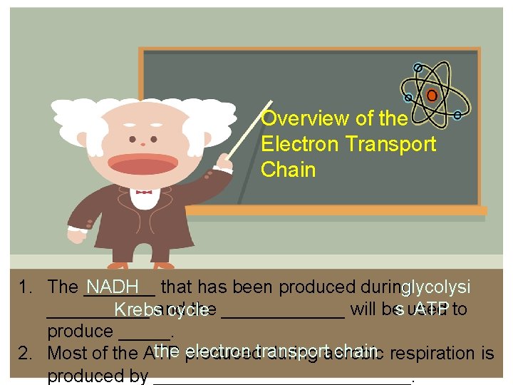 Overview of the Electron Transport Chain 1. The _______ that has been produced during