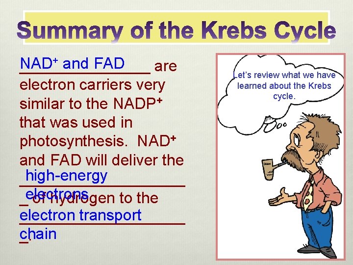 + and FAD NAD ________ are electron carriers very similar to the NADP+ that