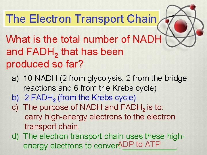 The Electron Transport Chain What is the total number of NADH and FADH 2